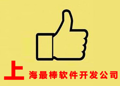 上海卓越軟件開發公司 定制化軟件外包服務打造高效商業解決方案