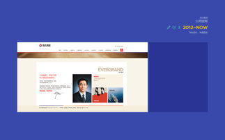 恒大集團(tuán)及旗下產(chǎn)業(yè)網(wǎng)站與網(wǎng)頁設(shè)計(jì) 品牌形象的數(shù)字化詮釋