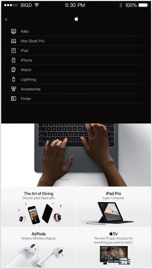 網(wǎng)頁(yè)與網(wǎng)站設(shè)計(jì)的UI分類全解析 你掌握了嗎？